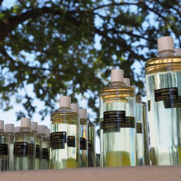 Badania odorów – jak naukowcy sprawdzają nasze reakcje na zapachy?
