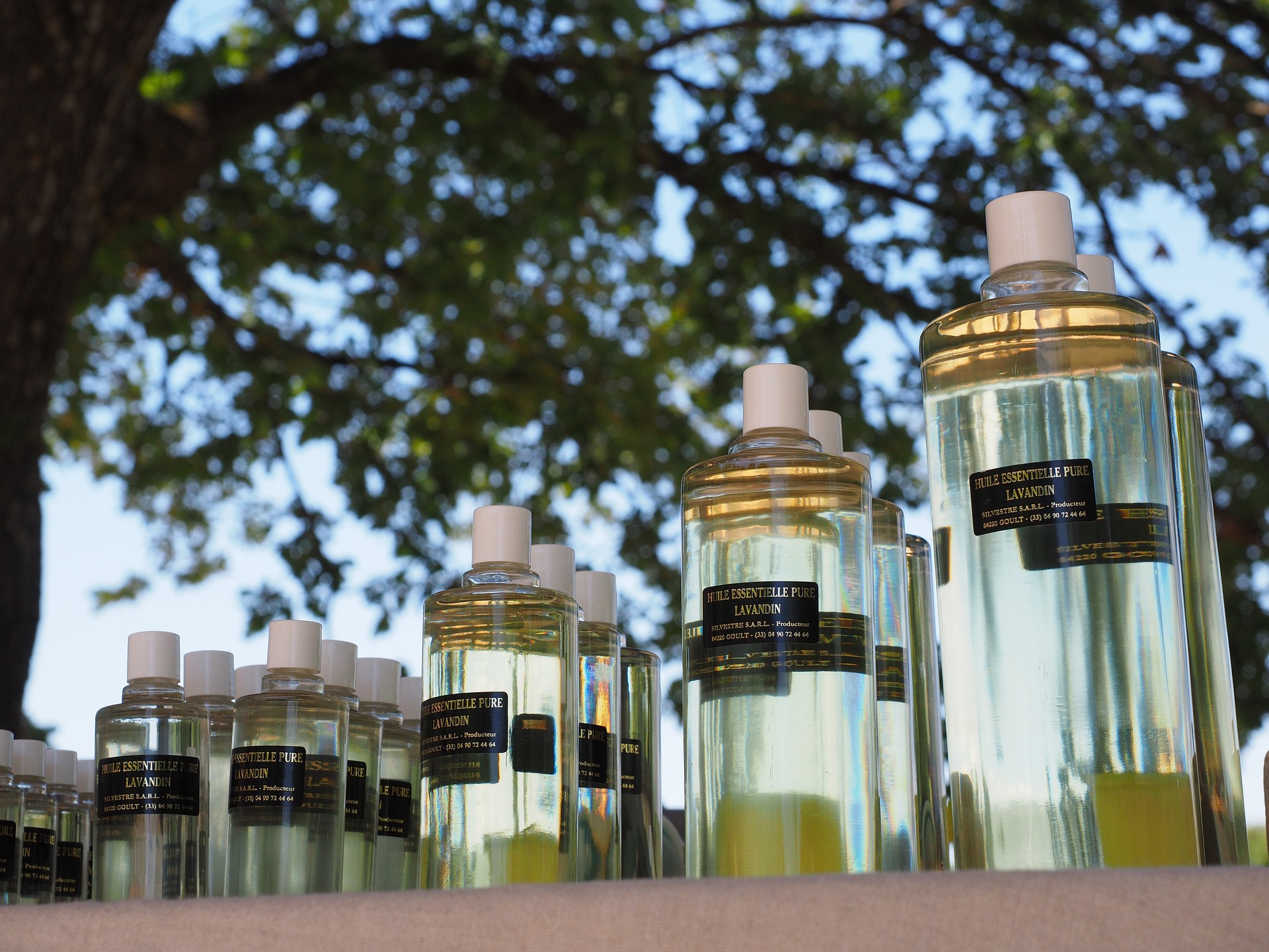 Badania odorów – jak naukowcy sprawdzają nasze reakcje na zapachy?